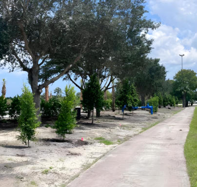 This is a picture of Buffer Preserve RV Park at Fellsmere, FL.